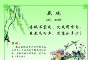 春庄古诗视频,踏青赏花，古韵盎然